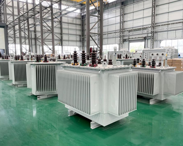 Oil-immersed Transformers