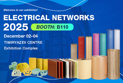 2025 ELECTRICAL NETWORKS OF RUSSIA